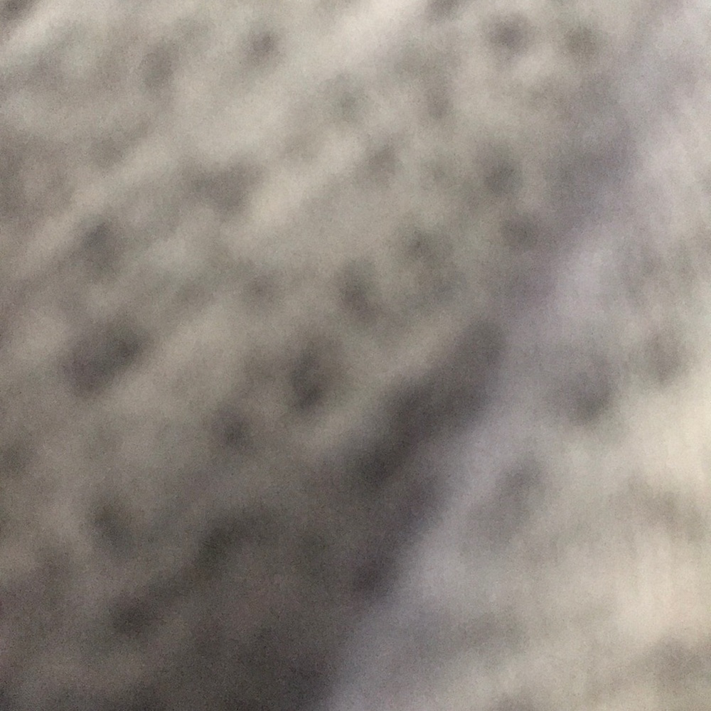 Meet your Posher, Kaden